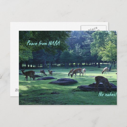 IMG_1664 NARA BRIEFKAART (Voorkant / Achterkant)