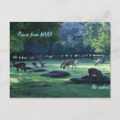 IMG_1664 NARA BRIEFKAART (Voorkant)