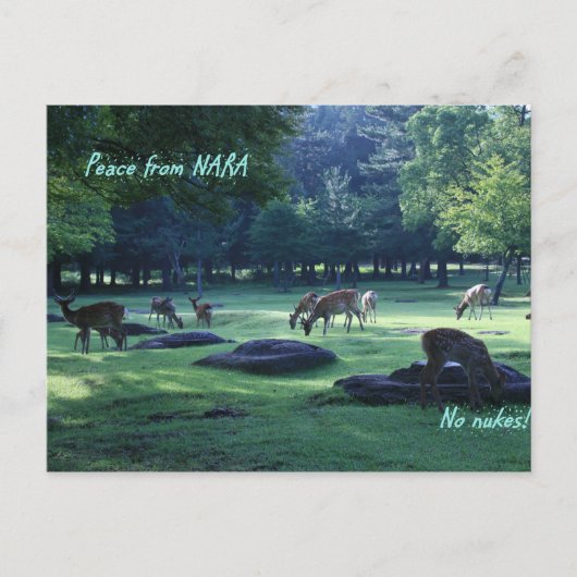 IMG_1664 NARA BRIEFKAART (Voorkant)