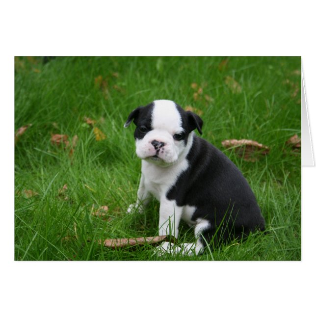 IMG_1665 (Voorkant Horizontaal)