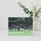 IMG_1699 nara Briefkaart (Staand voorkant)