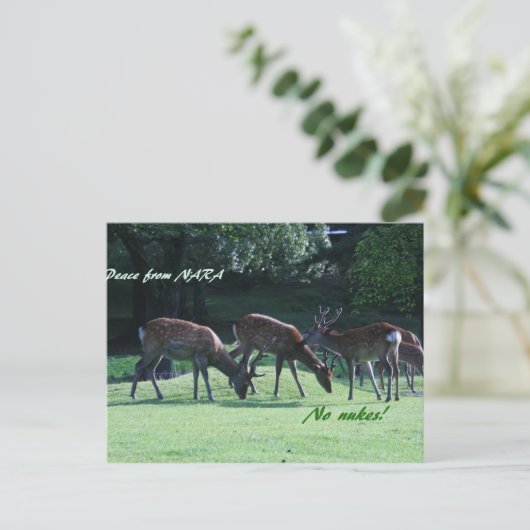 IMG_1699 nara Briefkaart (Staand voorkant)