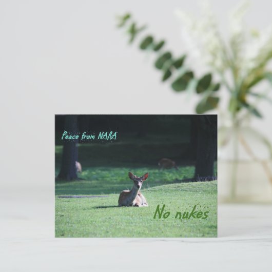 IMG_1713 nara Briefkaart (Staand voorkant)