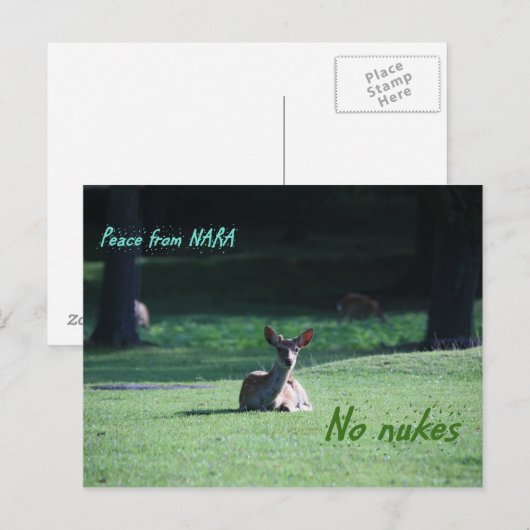 IMG_1713 nara Briefkaart (Voorkant / Achterkant)