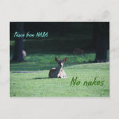 IMG_1713 nara Briefkaart (Voorkant)