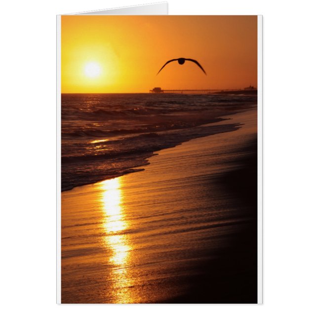 IMG_1802_1 (Voorkant)