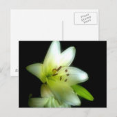 IMG_1980 BRIEFKAART (Voorkant / Achterkant)