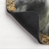 IMG_2196 MUISMAT (Hoek)