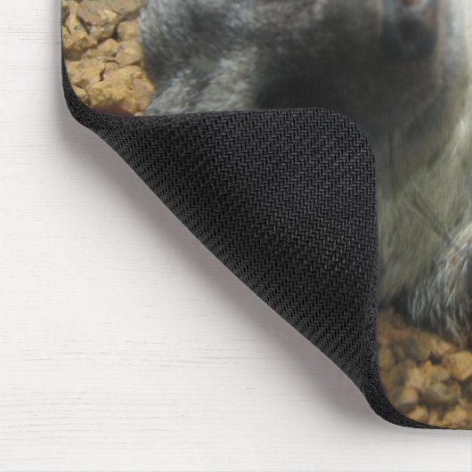 IMG_2196 MUISMAT (Hoek)