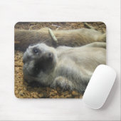 IMG_2196 MUISMAT (Met muis)