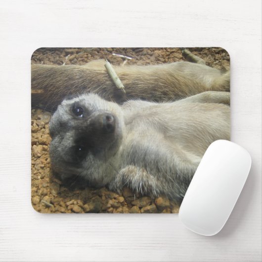 IMG_2196 MUISMAT (Met muis)