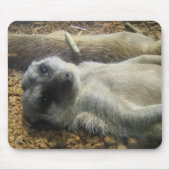 IMG_2196 MUISMAT (Voorkant)