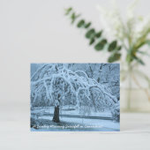 IMG_2425_2, een zondagochtend sneeuwval in Connec. Briefkaart (Staand voorkant)