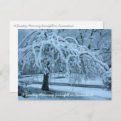 IMG_2425_2, een zondagochtend sneeuwval in Connec. Briefkaart (Voorkant / Achterkant)