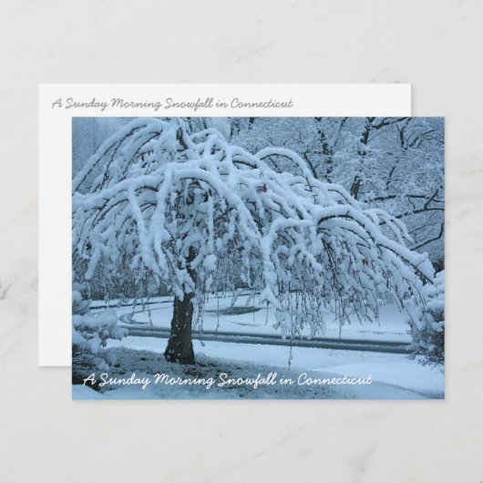 IMG_2425_2, een zondagochtend sneeuwval in Connec. Briefkaart (Voorkant / Achterkant)