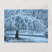 IMG_2425_2, een zondagochtend sneeuwval in Connec. Briefkaart (Voorkant)