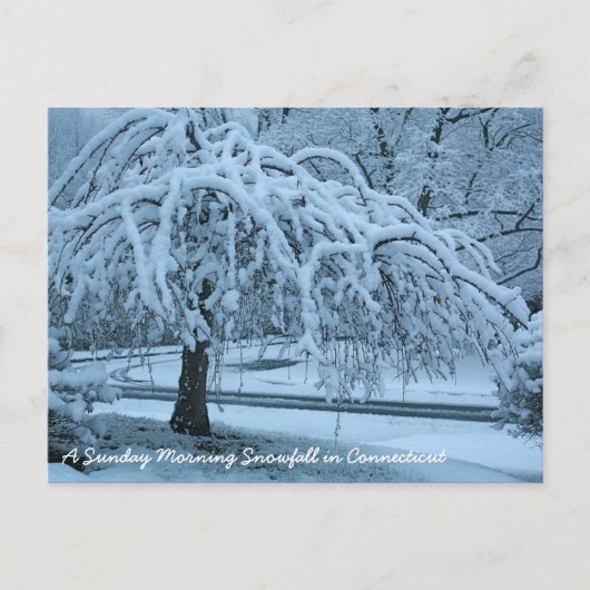 IMG_2425_2, een zondagochtend sneeuwval in Connec. Briefkaart (Voorkant)