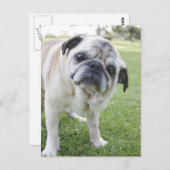 IMG_2562 BRIEFKAART (Voorkant / Achterkant)