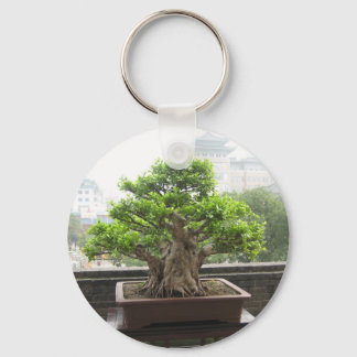 IMG_2887 SLEUTELHANGER