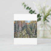 IMG_2974.JPGWhite Birch Trail Ride Briefkaart (Staand voorkant)