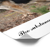 IMG_3539, De substantie achter een grote leider.. Poster (Hoek)