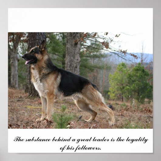 IMG_3539, De substantie achter een grote leider.. Poster (Voorkant)