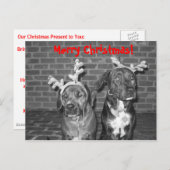 IMG_3721_2, Vrolijk kerstfeest! Feestdagenkaart (Voorkant / Achterkant)