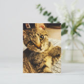 IMG_3770.JPG BRIEFKAART (Staand voorkant)