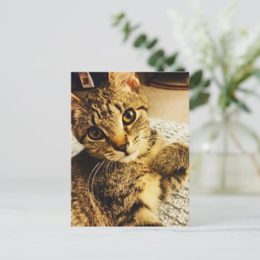 IMG_3770.JPG BRIEFKAART (Staand voorkant)