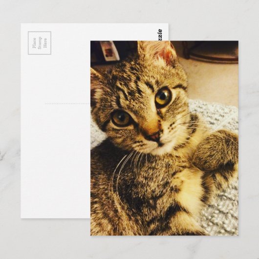 IMG_3770.JPG BRIEFKAART (Voorkant / Achterkant)