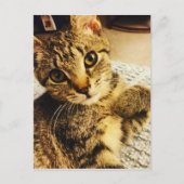 IMG_3770.JPG BRIEFKAART (Voorkant)