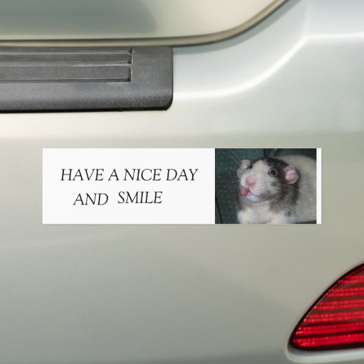 IMG_3930, HEB EEN KLEINE DAG, EN BUMPERSTICKER (Op auto)