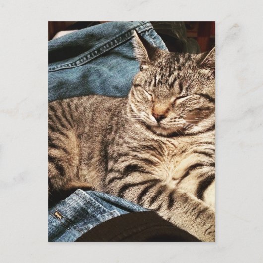 IMG_3960.JPG BRIEFKAART (Voorkant)