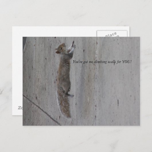 IMG_3995, je hebt me muren voor je laten klimmen! Briefkaart (Voorkant / Achterkant)