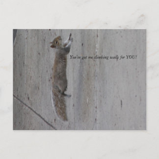 IMG_3995, je hebt me muren voor je laten klimmen! Briefkaart