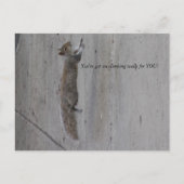 IMG_3995, je hebt me muren voor je laten klimmen! Briefkaart (Voorkant)