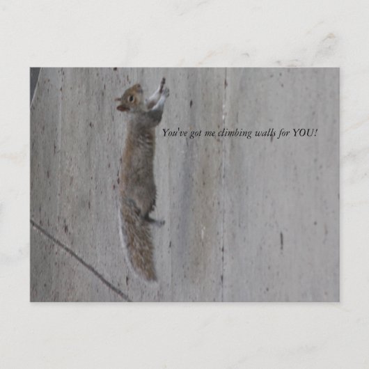 IMG_3995, je hebt me muren voor je laten klimmen! Briefkaart (Voorkant)