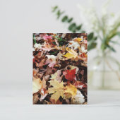 IMG_4035.JPG BRIEFKAART (Staand voorkant)