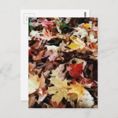 IMG_4035.JPG BRIEFKAART (Voorkant / Achterkant)