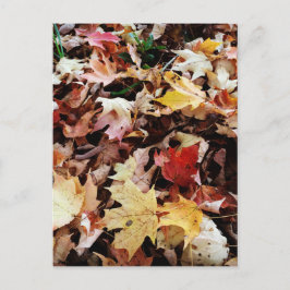 IMG_4035.JPG BRIEFKAART