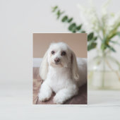 IMG_4050 BRIEFKAART (Staand voorkant)