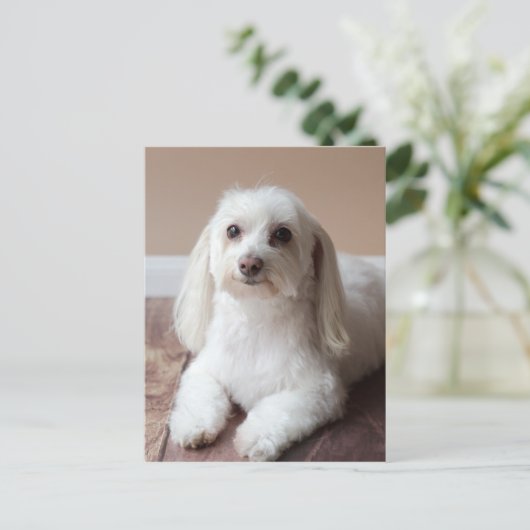 IMG_4050 BRIEFKAART (Staand voorkant)