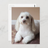 IMG_4050 BRIEFKAART (Voorkant / Achterkant)