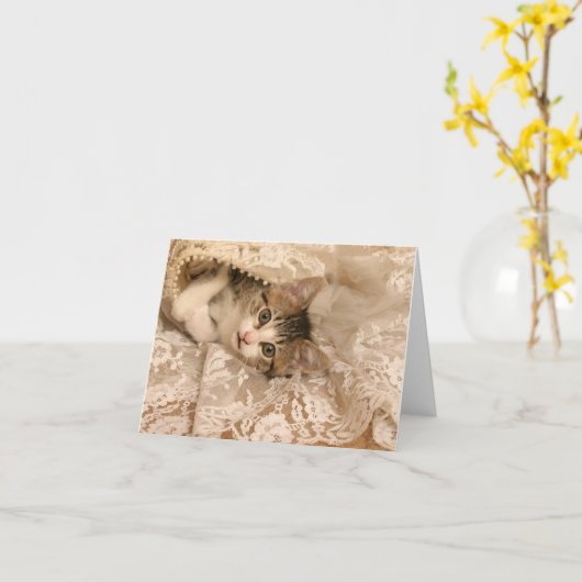 IMG_4121_-_Marygold_-_cropped - 5x7 Kaart (Gele Bloem)