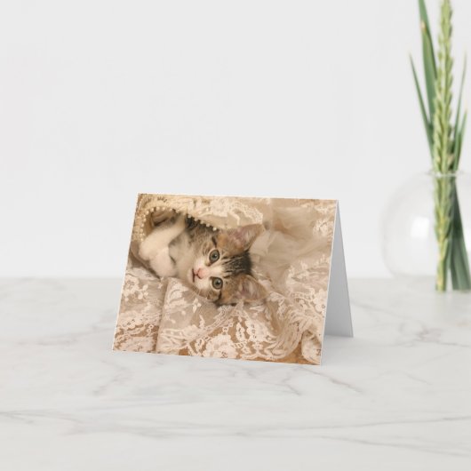 IMG_4121_-_Marygold_-_cropped - 5x7 Kaart (Voorkant)