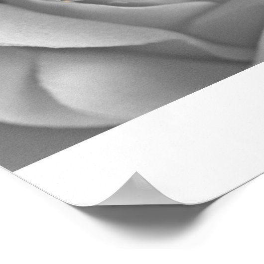 IMG_4572a Poster (Hoek)