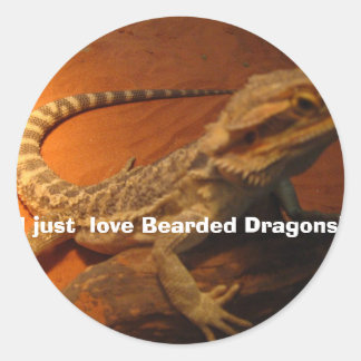 IMG_4705, ik hou gewoon van Bearded Dragons! Ronde Sticker