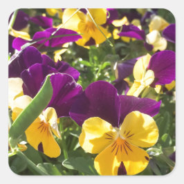 IMG_4738.JPG VIERKANTE STICKER