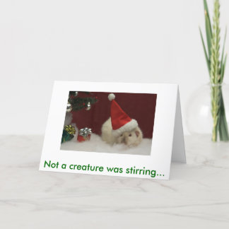 IMG_483201, niet bewoog een schepsel… Feestdagen Kaart