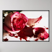 IMG_4906 POSTER (Voorkant)